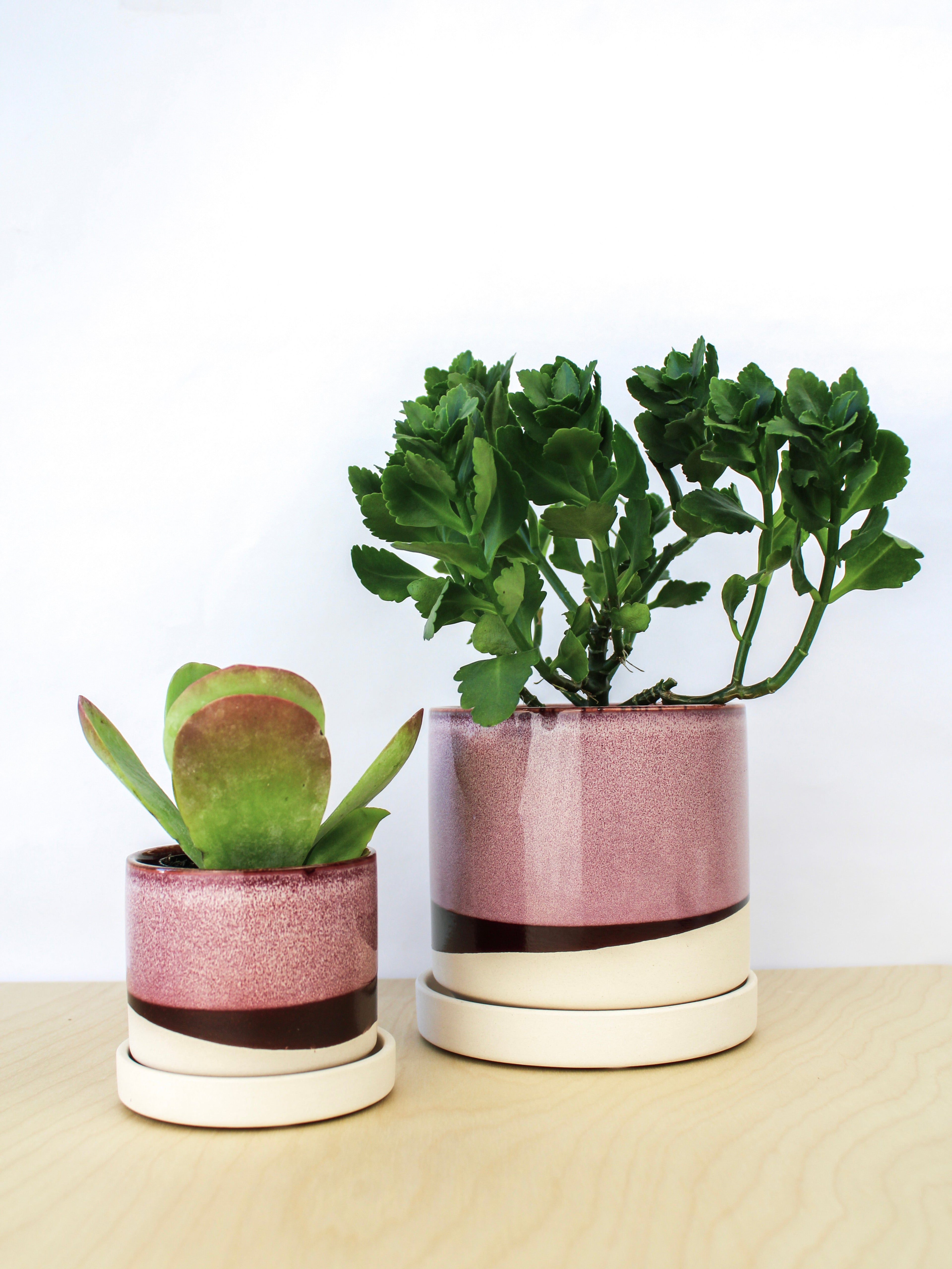 Burgundy Ceramic Plant Pot and Saucer