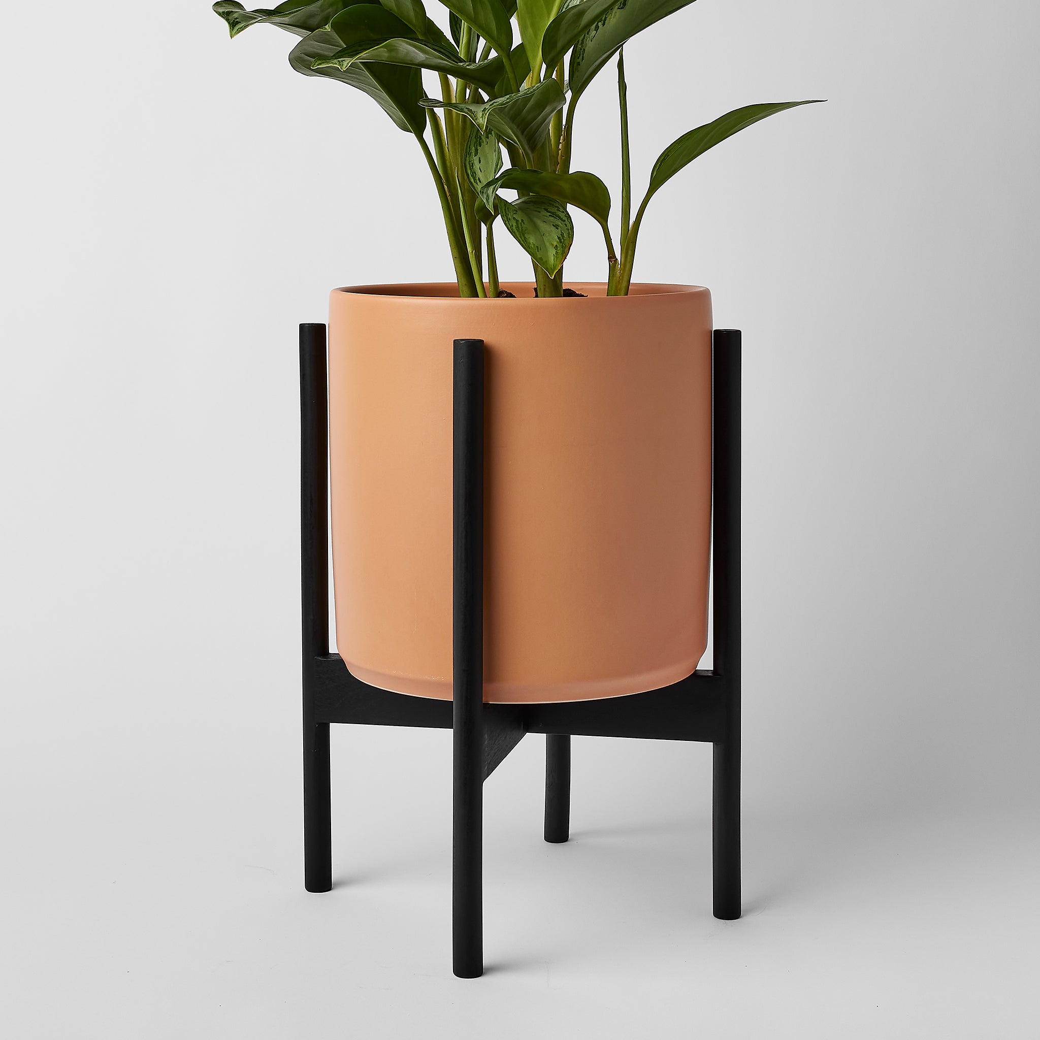 Rounded Hardwood Plant Stand